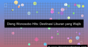 grafik dieng wonosobo hits