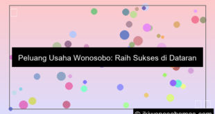 desain peluang usaha wonosobo