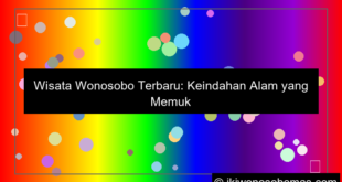 wisata wonosobo terbaru